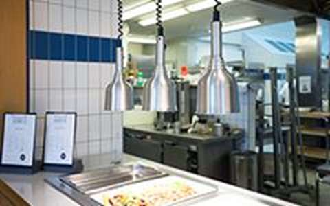 Heat lamps Linum