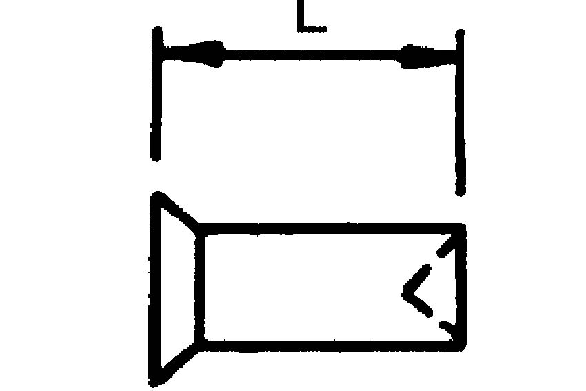 Ss rivet - 13mm length 