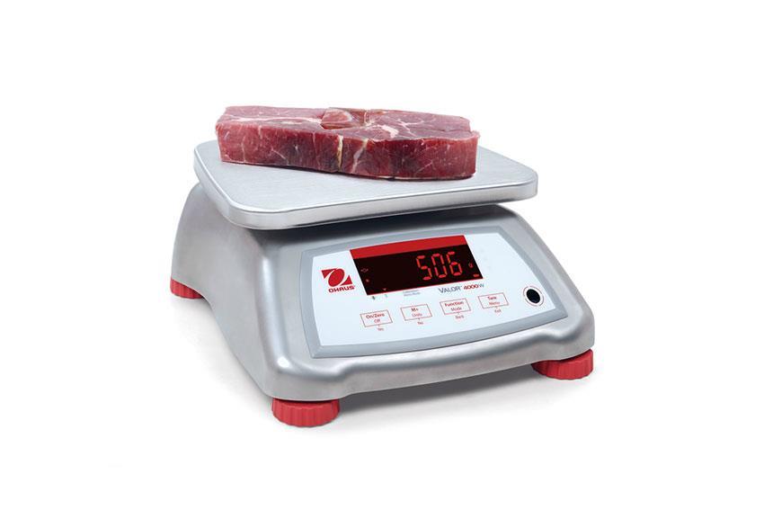 Valor 4000 Waage - Max 6kg +/- 1g - CNS Ausfuhrung, CNS Plateau 242x190mm 