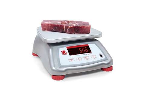 Valor 4000 balance - max 6kg +/- 1g - version inox, inox plateau 242x190mm